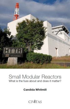 Small Modular Reactors